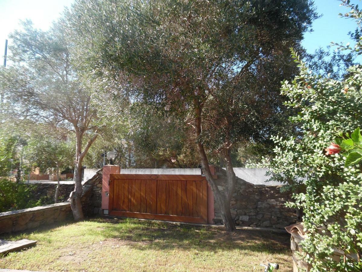 Villa Maestrale Olbia Dış mekan fotoğraf